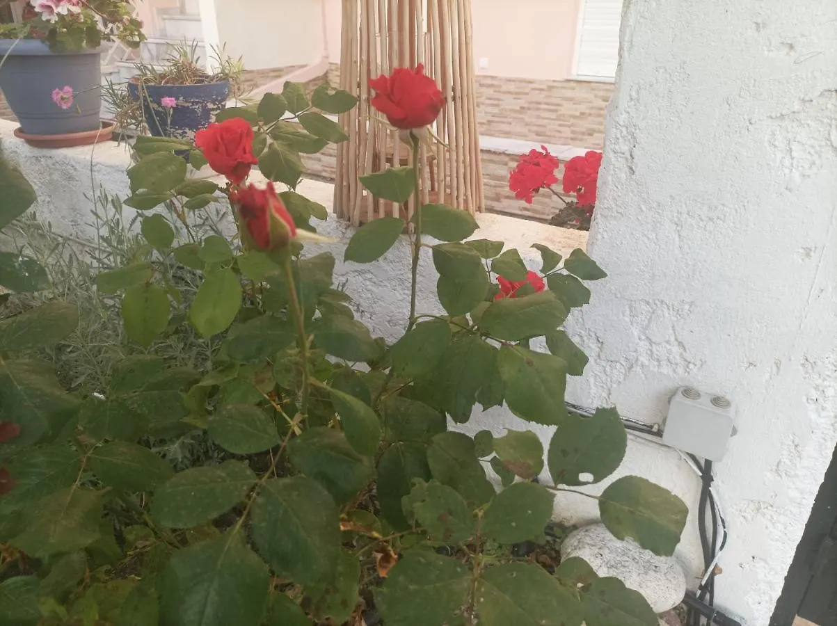 Filomeni Studios Pefkochori Grecia